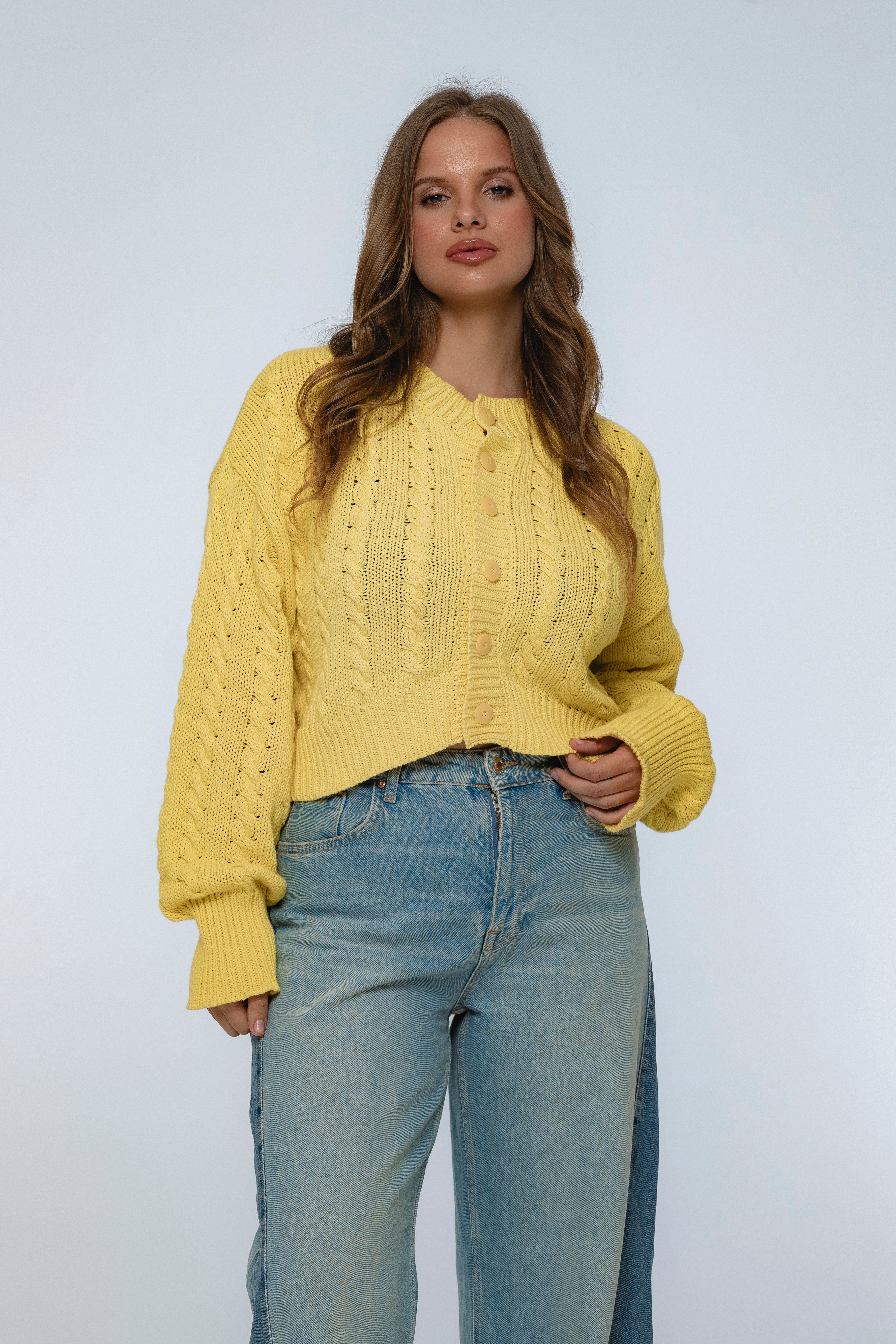 Parisse Cropped Knitted Cardigan