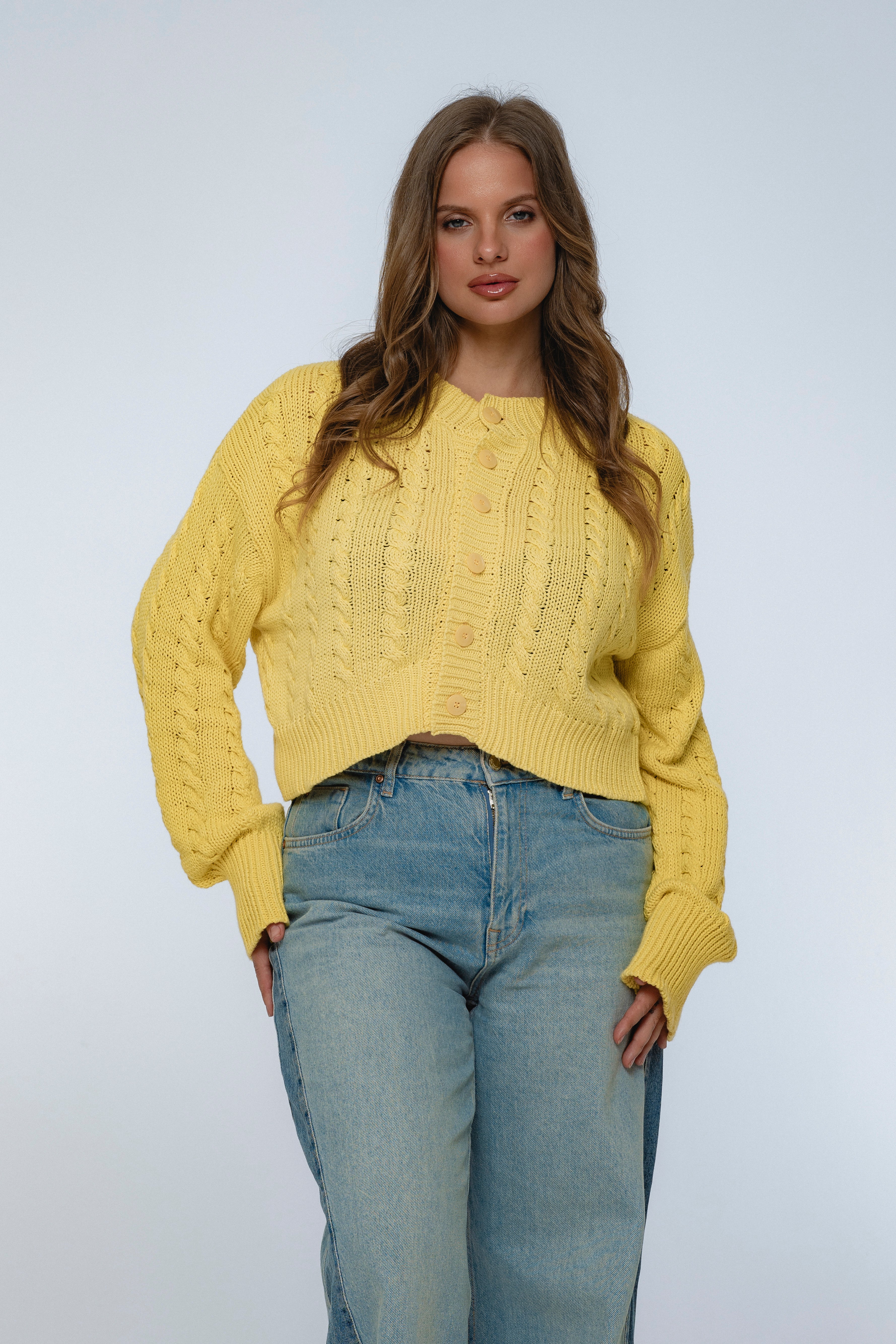 Parisse Cropped Knitted Cardigan