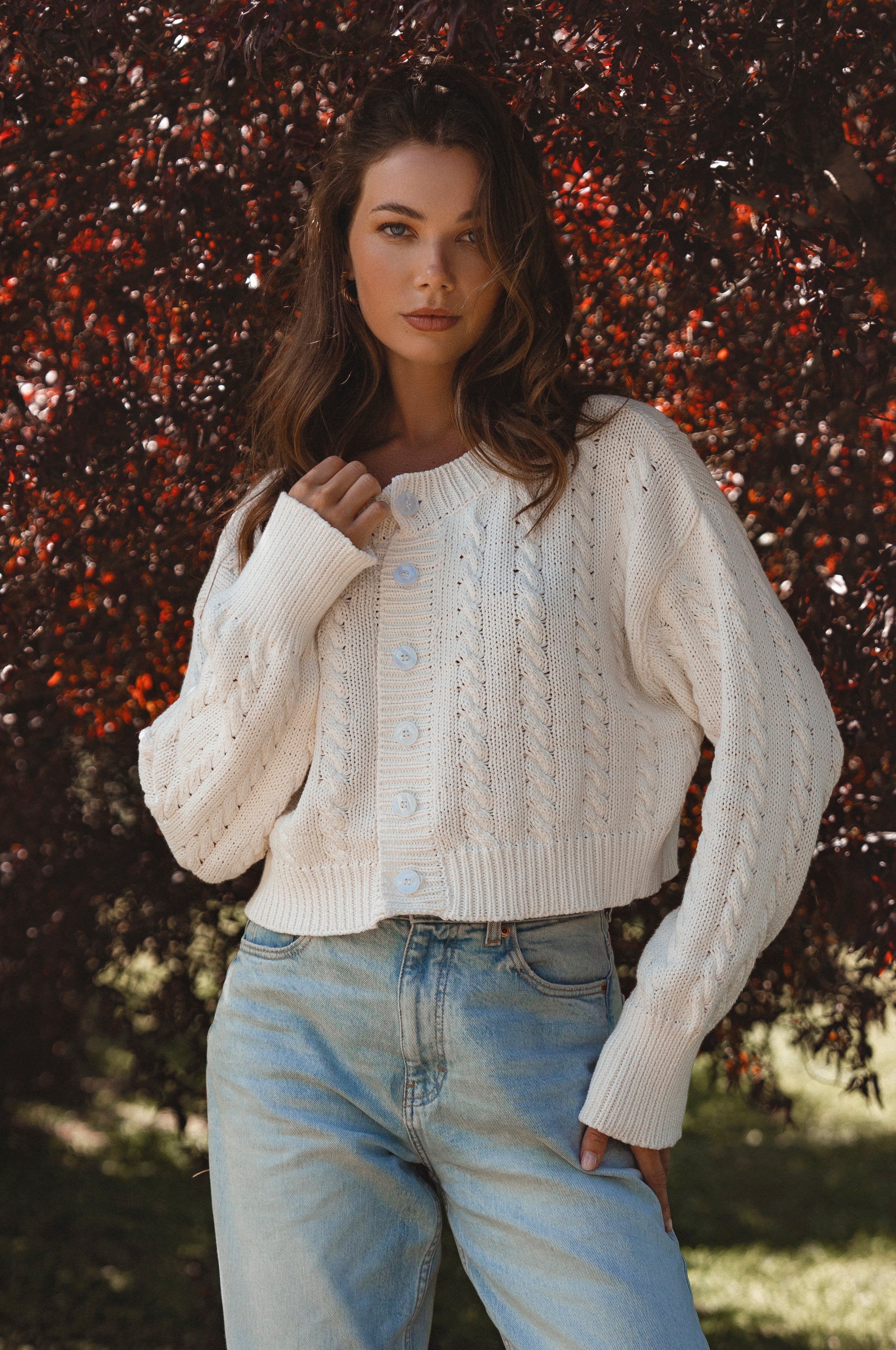 Parisse Cropped Knitted Cardigan