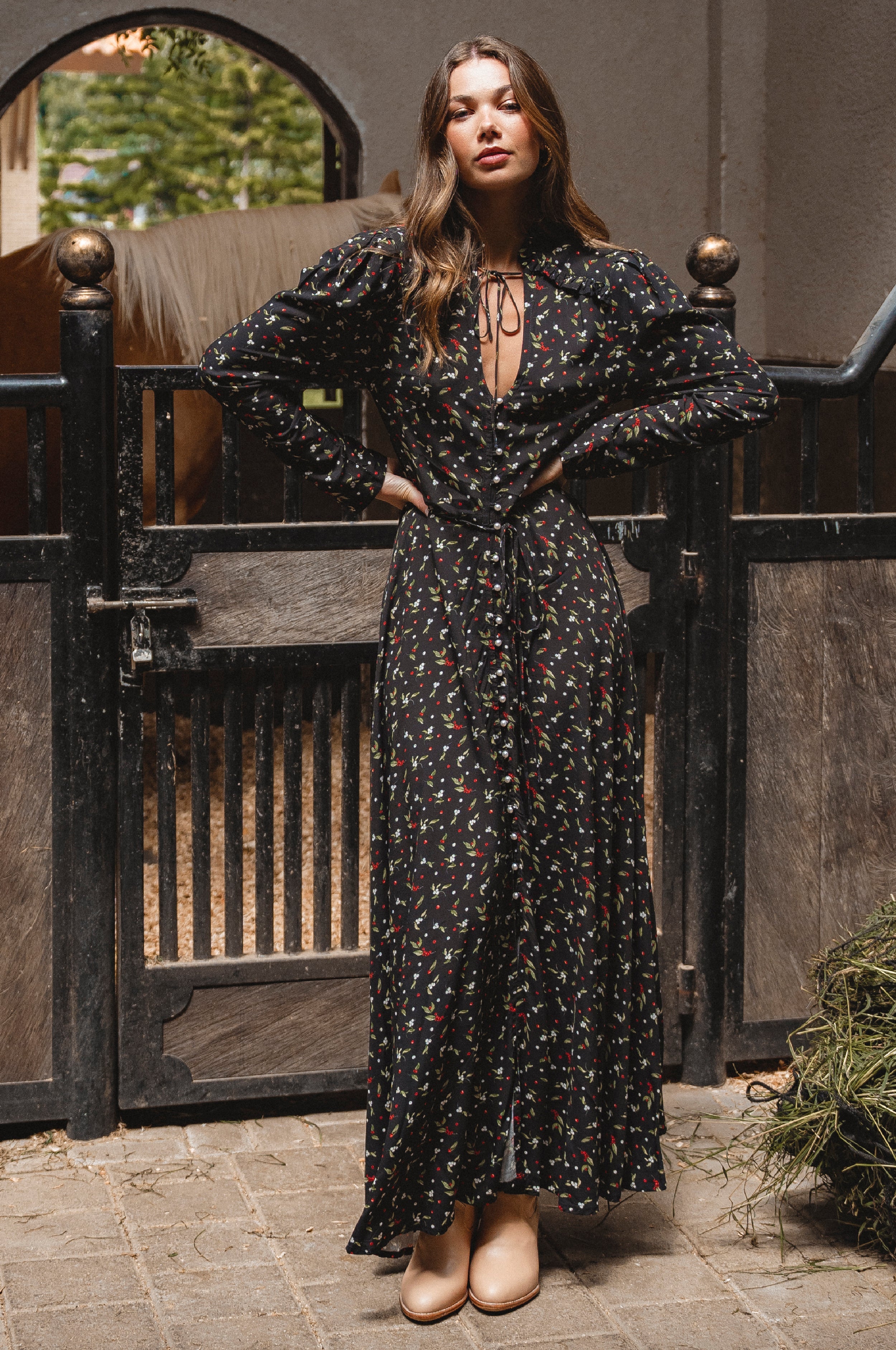 Poeme Long Sleeve Maxi Dress